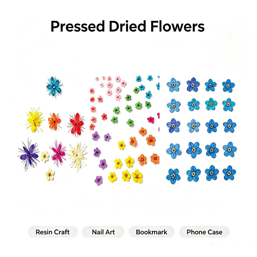 Resin Art Case - 60 pièces de petites fleurs séchées