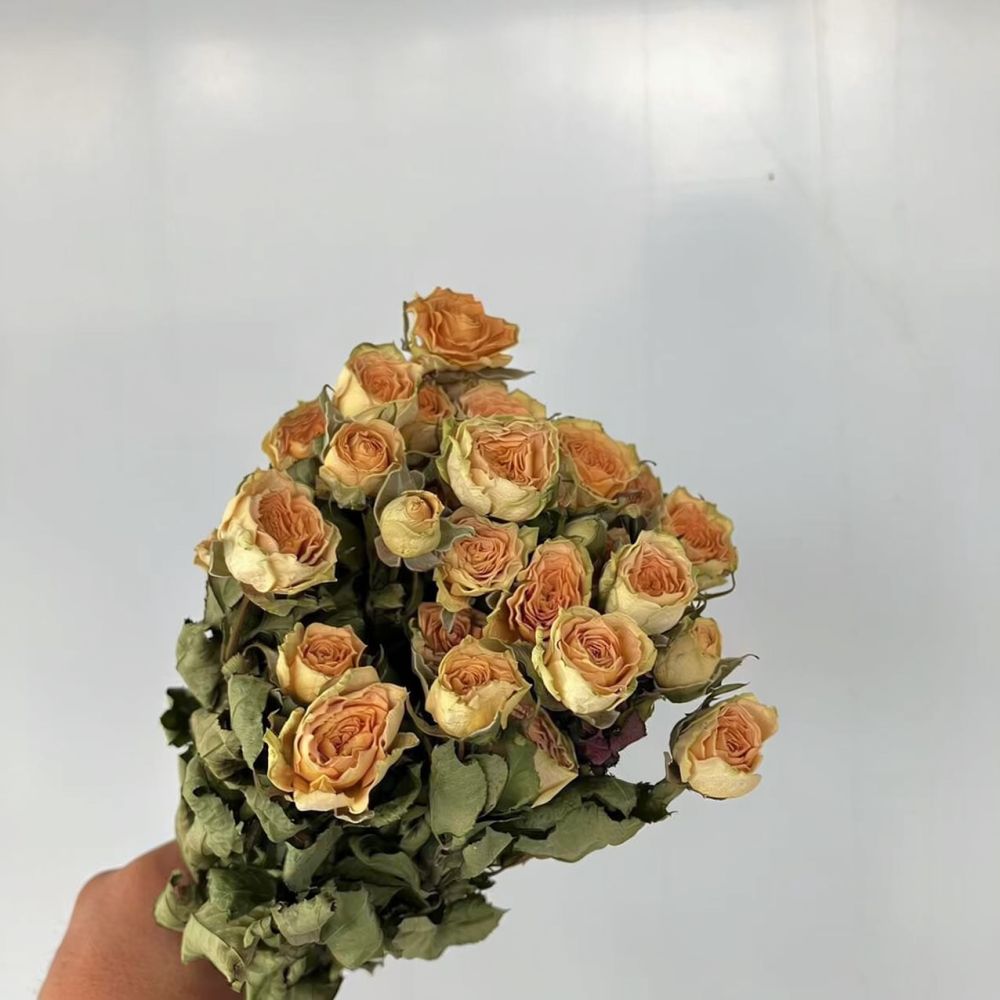 Vrais roses séchées, bouquet d - Resin Art Rose avis et prix