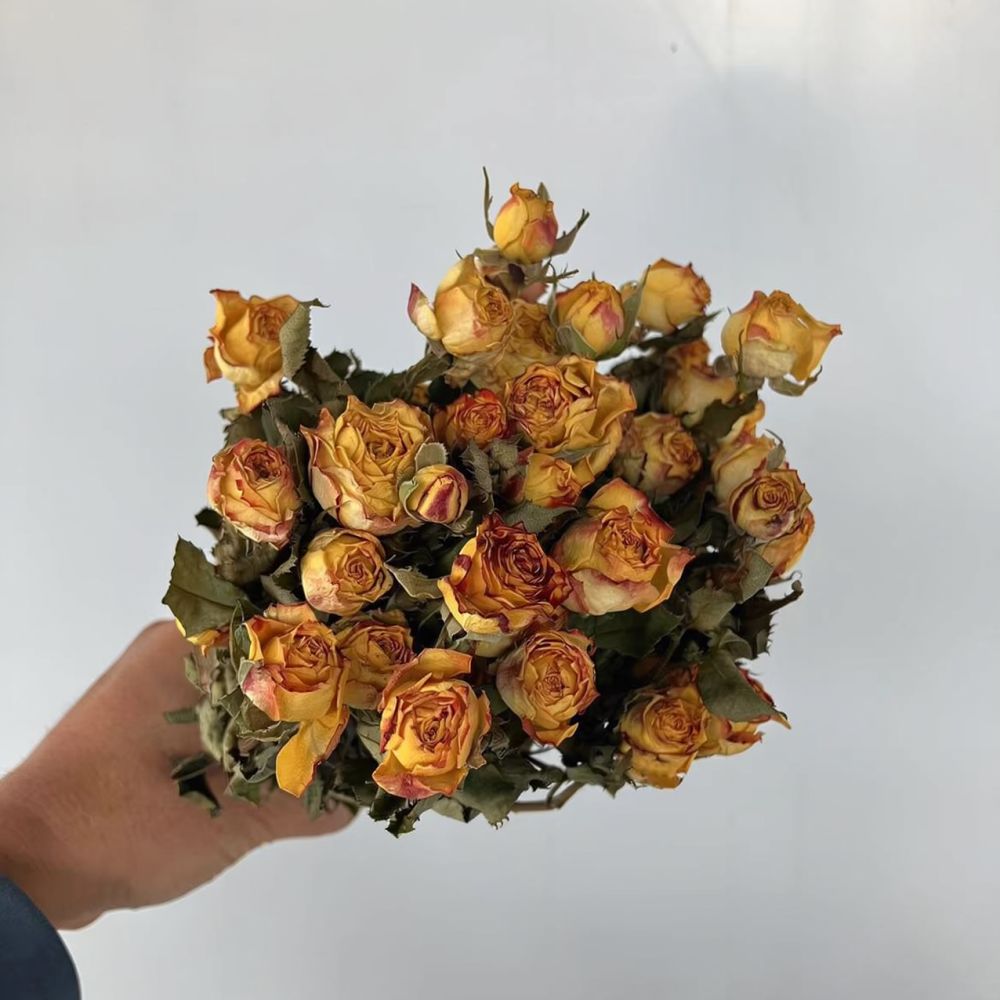 Vrais roses séchées, bouquet d - Resin Art Rose avis et prix