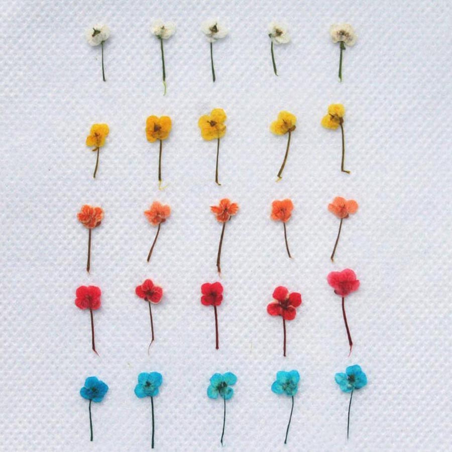 60 pièces de petites fleurs sé - Resin Art Case avis et prix