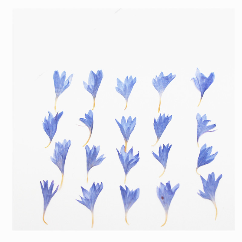60 pièces de petites fleurs sé - Resin Art Case avis et prix