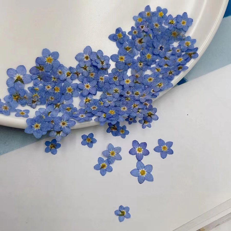 60 pièces de petites fleurs sé - Resin Art Case avis et prix
