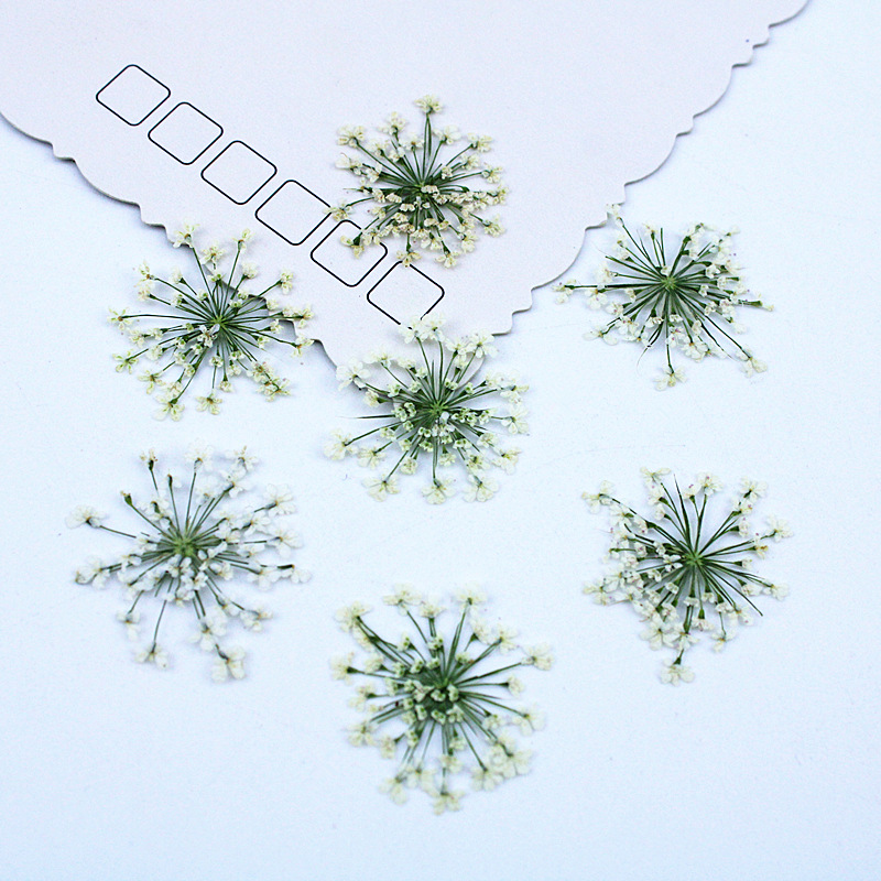 500 pièces de fleurs en dentel - Resin Art Baby avis et prix